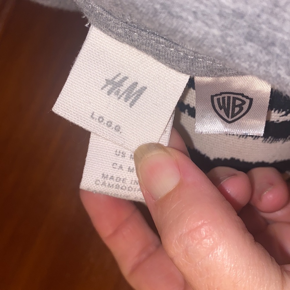 H & M gray “Friends” hoodie size medium - Picture 3 of 3
